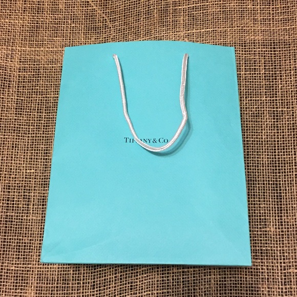 Tiffany & Co. Authentic Medium Paper Shopping Bag - Picture 5 of 7